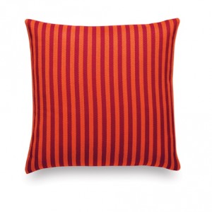 Toostripe orange 