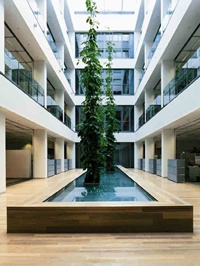 Schlingpflanzen im neuen Lichthof
verbinden die sechs Etagen
des renovierten Henkel-Hauses.