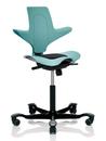 Capisco Puls 8010, Sea green, Xtreme schwarz, Schwarz