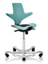 Capisco Puls 8010, Sea green, Xtreme schwarz, Silber
