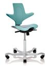 Capisco Puls 8010, Sea green, Xtreme hellgrau, Silber