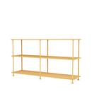 Free 220000 Regal, Acacia