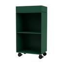 Preppy Rollwagen, Pine