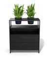 M1 Pflanzen Sideboard, Variante 1 (H 90 x B 80 cm), Schwarz