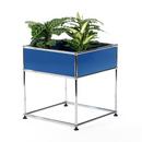 USM Haller Pflanzenbeistelltisch Typ 2, Enzianblau RAL 5010, 50 cm