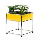 USM Haller Pflanzenbeistelltisch Typ 2, Goldgelb RAL 1004, 50 cm