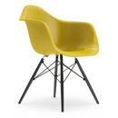 Eames Plastic Armchair RE DAW, Senf, Ohne Polsterung, Ohne Polsterung, Standardhöhe - 43 cm, Ahorn schwarz