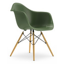 Details Vitra DAW DAW, Forest, Ohne Polsterung, Ohne Polsterung, Standardhöhe - neu (43 cm), Esche honigfarben