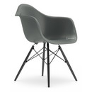 DAW, Granitgrau, Ohne Polsterung, Ohne Polsterung, Standardhöhe - 43 cm, Ahorn schwarz