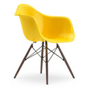 Eames Plastic Armchair RE DAW, Sunlight, Ohne Polsterung, Ohne Polsterung, Standardhöhe - 43 cm, Ahorn dunkel