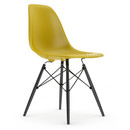 Eames Plastic Side Chair RE DSW, Senf, Ohne Polsterung, Ohne Polsterung, Standardhöhe - 43 cm, Ahorn schwarz