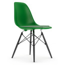 DSW, Grün, Mit Sitzpolster, Grün / elfenbein, Standardhöhe - 43 cm, Ahorn schwarz