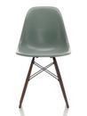 Eames Fiberglass Chair DSW, Eames sea foam green, Ahorn dunkel