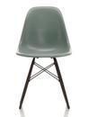 Eames Fiberglass Chair DSW, Eames sea foam green, Ahorn schwarz