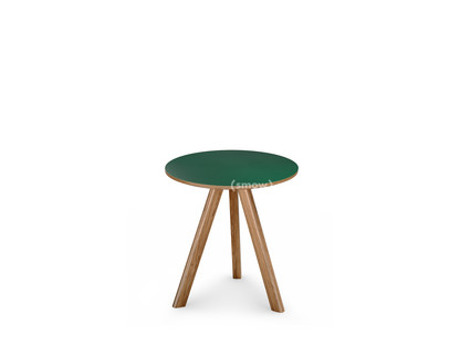 Copenhague Round Table CPH20 Ø 50 x H 49|Eiche lackiert|Linoleum grün