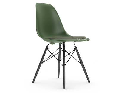 Eames Plastic Side Chair RE DSW Forest|Mit Sitzpolster|Elfenbein / forest|Standardhöhe - 43 cm|Ahorn schwarz