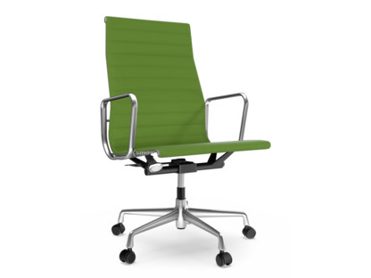 Aluminium Chair EA 119 Poliert|Hopsak|Wiesengrün / forest