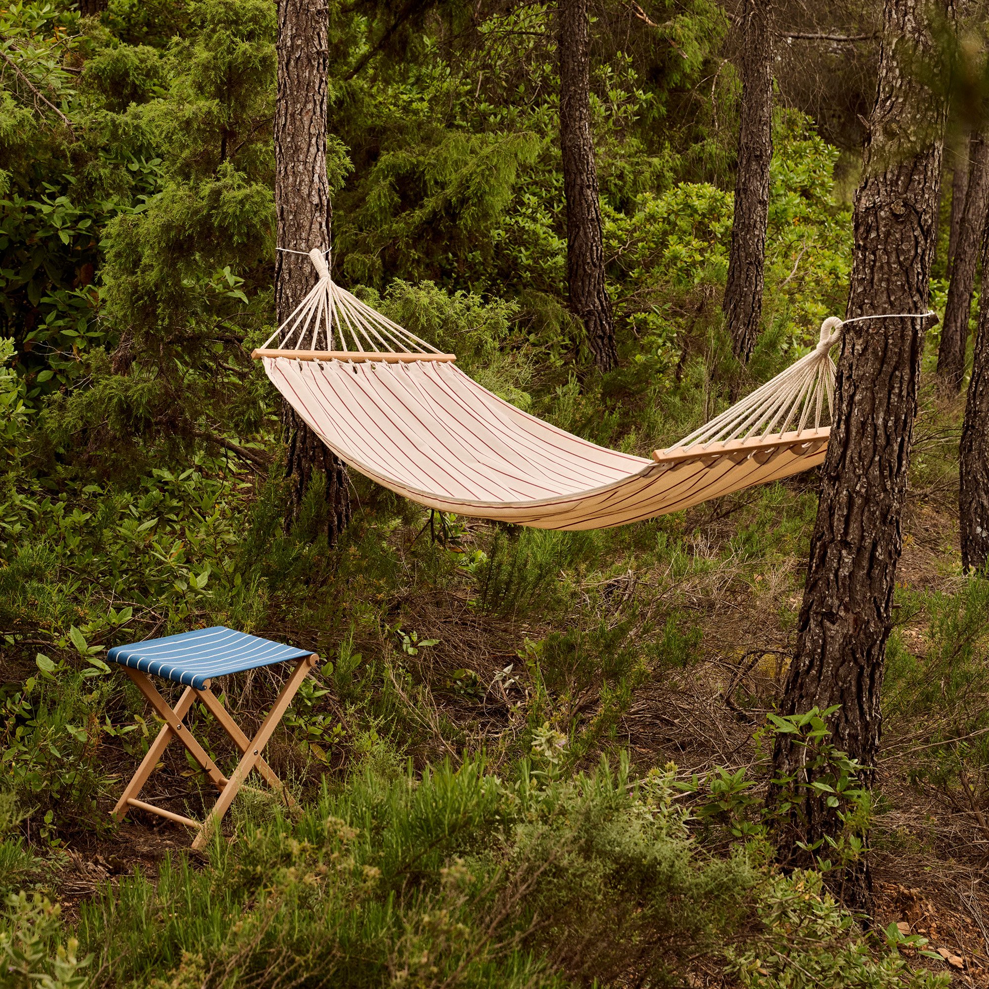 toom zelt Trilogy 6-Person Super Tree Tent | The ultimate group Tent