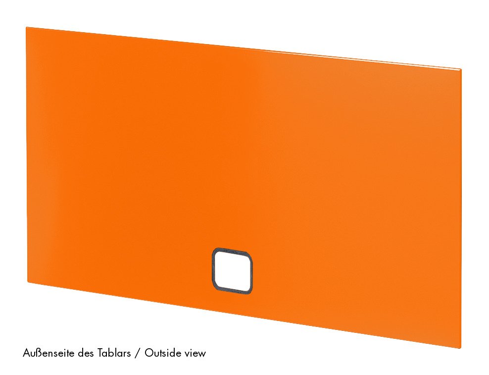 USM Haller Ersatz-Blech 35x25 Cm – Regalboden Oder Seitenwand, Verschiedene Farben (gebraucht)