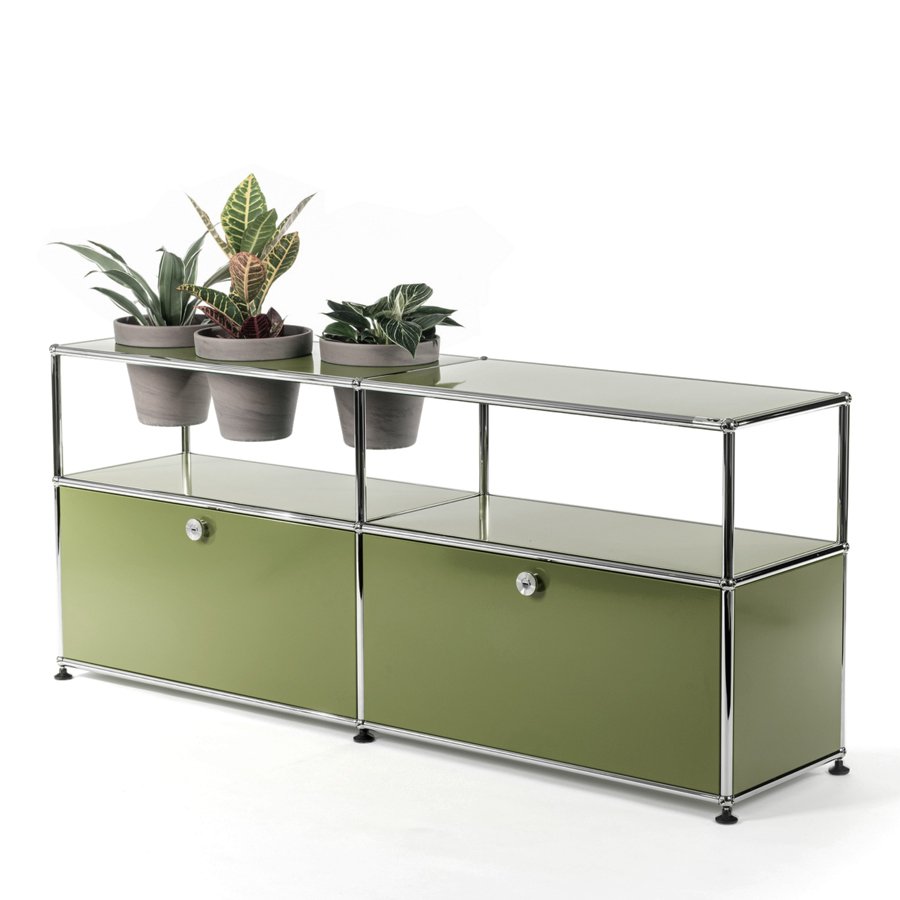 USM Haller Pflanzenwelten Sideboard, Olivgrün RAL 6003, Mit 2 Klappen ...