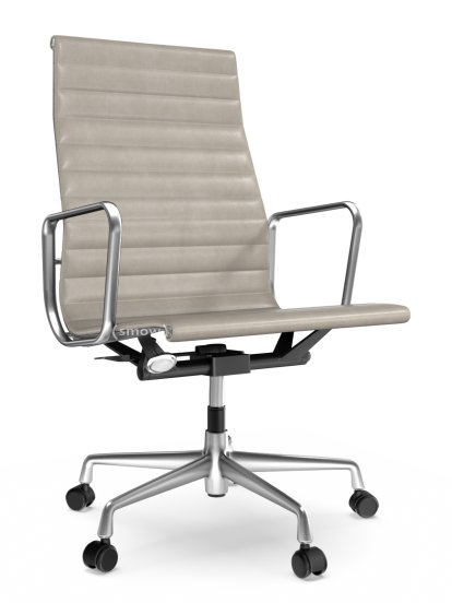 Aluminium Chair EA 119, Poliert, Leder Premium F, Sand