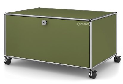 USM Haller TV-Lowboard auf Rollen, Mit Klapptür und Rückwand, Olivgrün RAL 6003