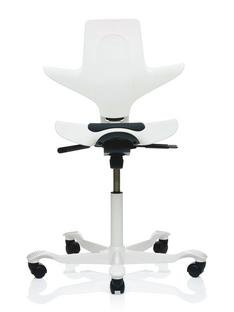 Capisco Puls 8010